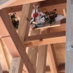 上棟しました！