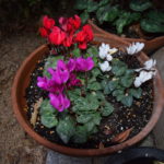 2021年よろしくお願いいたします